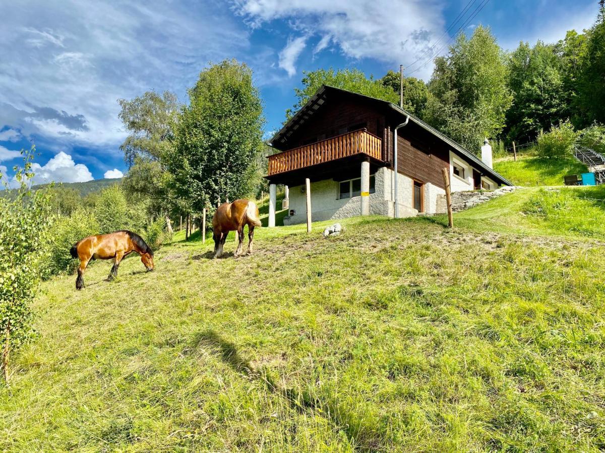 Eco Lodge With Jacuzzi And View In The Swiss Alps Grône 외부 사진